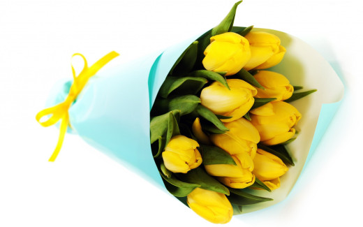 715987 (a): :2560x1600